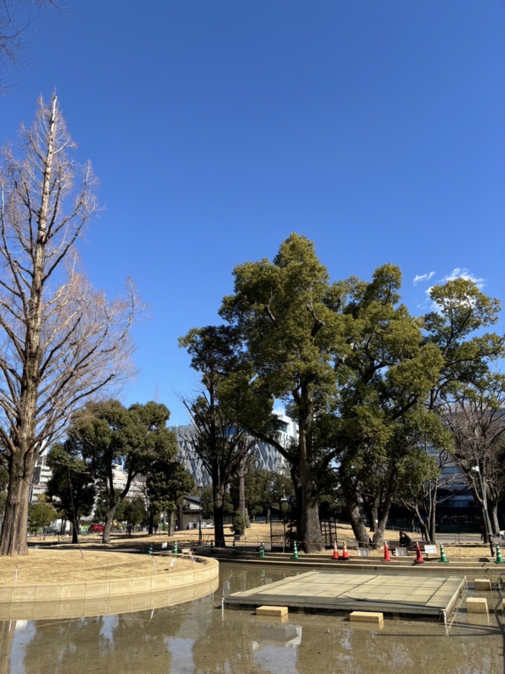 こころ安らぐ広場【噴水広場】