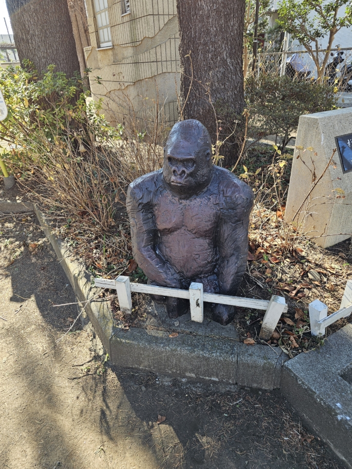 ウホウホ　ゴリラ公園🦍！？